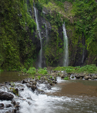 Sumber Sejahtera Primadaya-alt